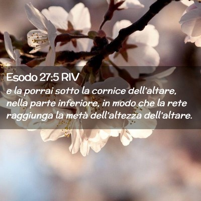 Picture 02 - Esodo 27:5 RIV - e la porrai sotto la cornice dell’altare, nella - Bible Verse Picture
