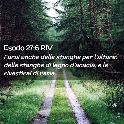Picture 02 - Esodo 27:6 RIV - Farai anche delle stanghe per l’altare: delle - Bible Verse Picture