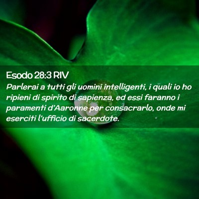 Picture 02 - Esodo 28:3 RIV - Parlerai a tutti gli uomini intelligenti, i quali - Bible Verse Picture