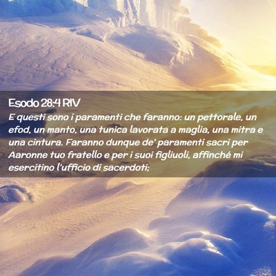 Picture 02 - Esodo 28:4 RIV - E questi sono i paramenti che faranno: un - Bible Verse Picture
