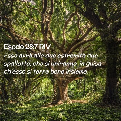 Picture 02 - Esodo 28:7 RIV - Esso avrà alle due estremità due spallette, che - Bible Verse Picture