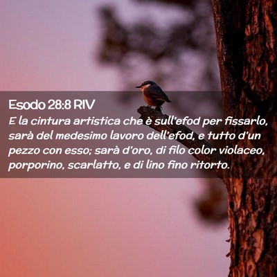 Picture 02 - Esodo 28:8 RIV - E la cintura artistica che è sull’efod per - Bible Verse Picture