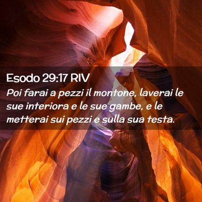 Picture 02 - Esodo 29:17 RIV - Poi farai a pezzi il montone, laverai le sue - Bible Verse Picture
