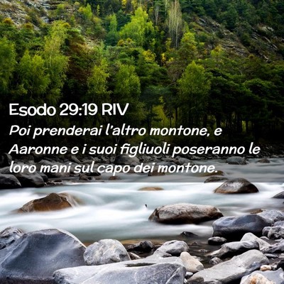 Picture 02 - Esodo 29:19 RIV - Poi prenderai l’altro montone, e Aaronne e i - Bible Verse Picture