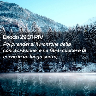 Picture 02 - Esodo 29:31 RIV - Poi prenderai il montone della consacrazione, e - Bible Verse Picture