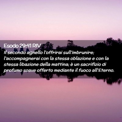 Picture 02 - Esodo 29:41 RIV - Il secondo agnello l’offrirai sull’imbrunire; - Bible Verse Picture