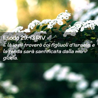 Picture 02 - Esodo 29:43 RIV - E là io mi troverò coi figliuoli d’Israele; e - Bible Verse Picture