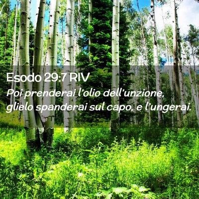Picture 02 - Esodo 29:7 RIV - Poi prenderai l’olio dell’unzione, glielo - Bible Verse Picture