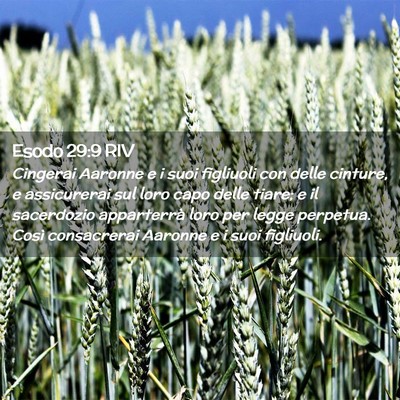 Picture 02 - Esodo 29:9 RIV - Cingerai Aaronne e i suoi figliuoli con delle - Bible Verse Picture