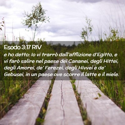 Picture 02 - Esodo 3:17 RIV - e ho detto: Io vi trarrò dall’afflizione - Bible Verse Picture