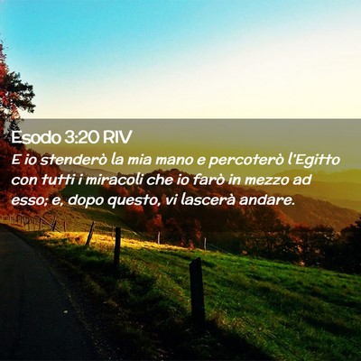 Picture 02 - Esodo 3:20 RIV - E io stenderò la mia mano e percoterò - Bible Verse Picture