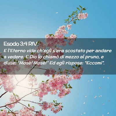 Picture 02 - Esodo 3:4 RIV - E l’Eterno vide ch’egli s’era scostato per - Bible Verse Picture