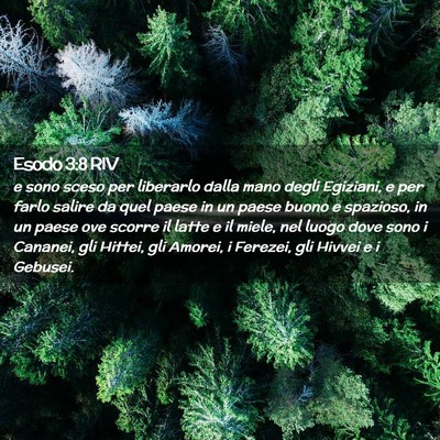 Picture 02 - Esodo 3:8 RIV - e sono sceso per liberarlo dalla mano degli - Bible Verse Picture