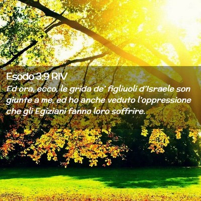 Picture 02 - Esodo 3:9 RIV - Ed ora, ecco, le grida de’ figliuoli - Bible Verse Picture