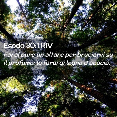 Picture 02 - Esodo 30:1 RIV - Farai pure un altare per bruciarvi su il profumo: - Bible Verse Picture