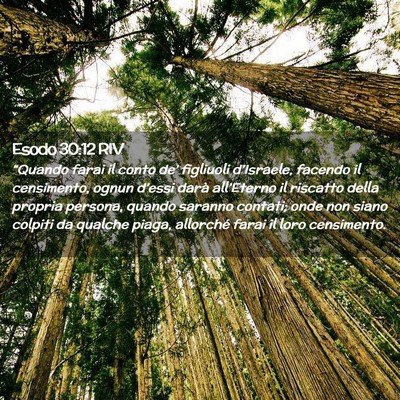 Picture 02 - Esodo 30:12 RIV - “Quando farai il conto de’ figliuoli - Bible Verse Picture