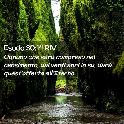 Picture 02 - Esodo 30:14 RIV - Ognuno che sarà compreso nel censimento, dai - Bible Verse Picture