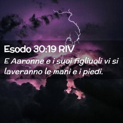 Picture 02 - Esodo 30:19 RIV - E Aaronne e i suoi figliuoli vi si laveranno le - Bible Verse Picture