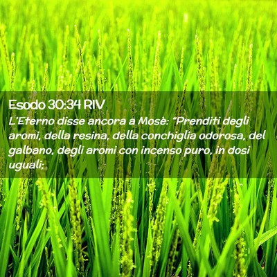 Picture 02 - Esodo 30:34 RIV - L’Eterno disse ancora a Mosè: “Prenditi - Bible Verse Picture