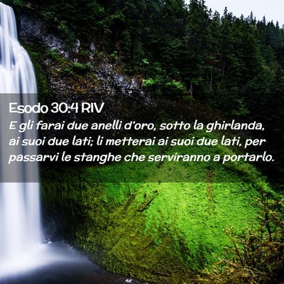 Picture 02 - Esodo 30:4 RIV - E gli farai due anelli d’oro, sotto la - Bible Verse Picture