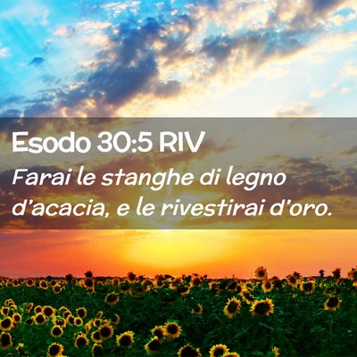 Picture 02 - Esodo 30:5 RIV - Farai le stanghe di legno d’acacia, e le - Bible Verse Picture