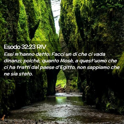 Picture 02 - Esodo 32:23 RIV - Essi m’hanno detto: Facci un di che ci vada - Bible Verse Picture