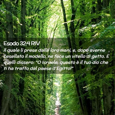 Picture 02 - Esodo 32:4 RIV - il quale li prese dalle loro mani, e, dopo averne - Bible Verse Picture