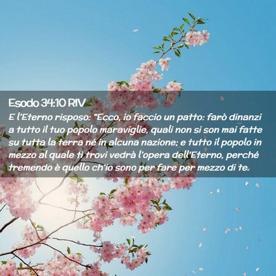 Picture 02 - Esodo 34:10 RIV - E l’Eterno risposo: “Ecco, io faccio un - Bible Verse Picture