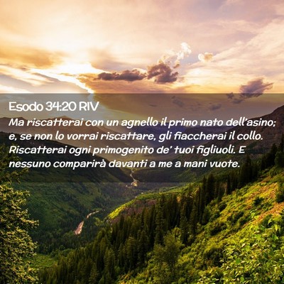 Picture 02 - Esodo 34:20 RIV - Ma riscatterai con un agnello il primo nato - Bible Verse Picture