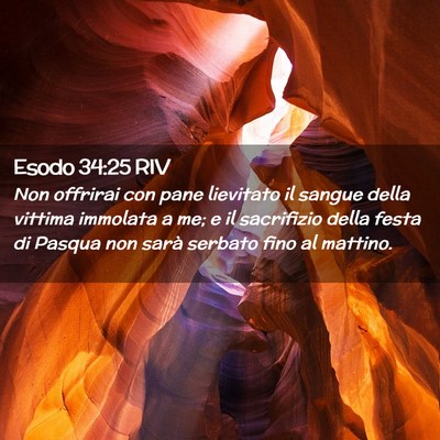 Picture 02 - Esodo 34:25 RIV - Non offrirai con pane lievitato il sangue della - Bible Verse Picture