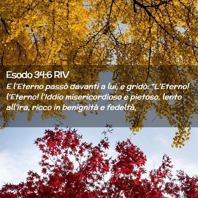 Picture 02 - Esodo 34:6 RIV - E l’Eterno passò davanti a lui, e gridò: - Bible Verse Picture