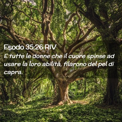 Picture 02 - Esodo 35:26 RIV - E tutte le donne che il cuore spinse ad usare la - Bible Verse Picture
