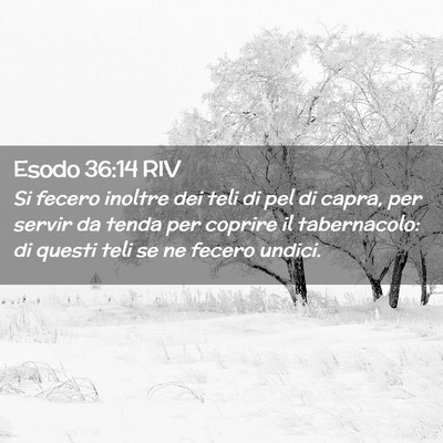Picture 02 - Esodo 36:14 RIV - Si fecero inoltre dei teli di pel di capra, per - Bible Verse Picture