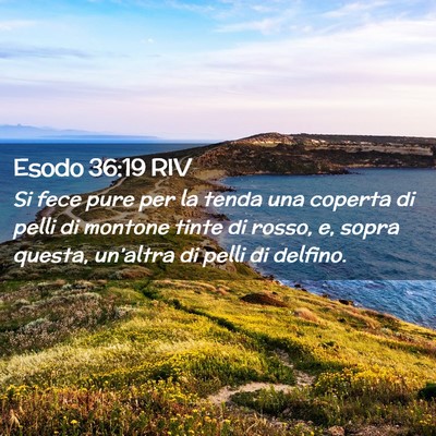 Picture 02 - Esodo 36:19 RIV - Si fece pure per la tenda una coperta di pelli di - Bible Verse Picture
