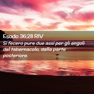 Picture 02 - Esodo 36:28 RIV - Si fecero pure due assi per gli angoli del - Bible Verse Picture