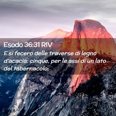 Picture 02 - Esodo 36:31 RIV - E si fecero delle traverse di legno d’acacia: - Bible Verse Picture