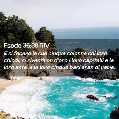 Picture 02 - Esodo 36:38 RIV - E si fecero le sue cinque colonne coi loro - Bible Verse Picture