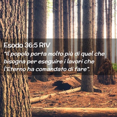 Picture 02 - Esodo 36:5 RIV - “Il popolo porta molto più di quel che bisogna - Bible Verse Picture