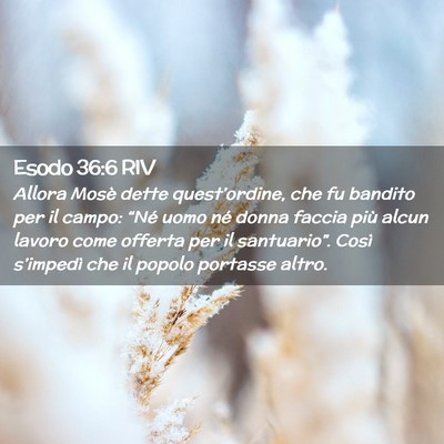 Picture 02 - Esodo 36:6 RIV - Allora Mosè dette quest’ordine, che fu bandito - Bible Verse Picture