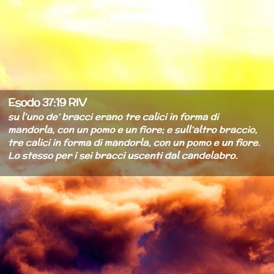 Picture 02 - Esodo 37:19 RIV - su l’uno de’ bracci erano tre calici in forma - Bible Verse Picture
