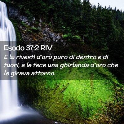 Picture 02 - Esodo 37:2 RIV - E la rivestì d’oro puro di dentro e di fuori, - Bible Verse Picture