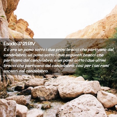 Picture 02 - Esodo 37:21 RIV - E c’era un pomo sotto i due primi bracci che - Bible Verse Picture