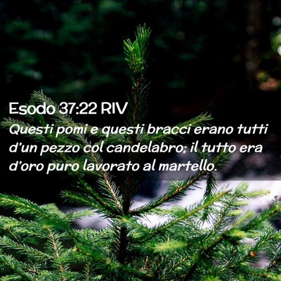 Picture 02 - Esodo 37:22 RIV - Questi pomi e questi bracci erano tutti d’un - Bible Verse Picture