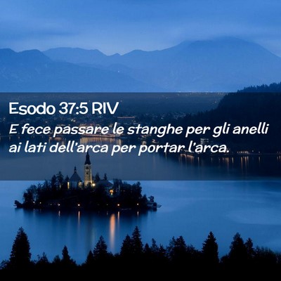 Picture 02 - Esodo 37:5 RIV - E fece passare le stanghe per gli anelli ai lati - Bible Verse Picture
