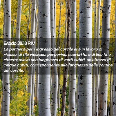Picture 02 - Esodo 38:18 RIV - La portiera per l’ingresso del cortile era in - Bible Verse Picture