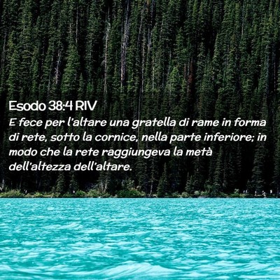 Picture 02 - Esodo 38:4 RIV - E fece per l’altare una gratella di rame in - Bible Verse Picture