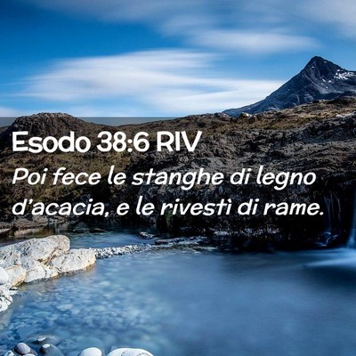 Picture 02 - Esodo 38:6 RIV - Poi fece le stanghe di legno d’acacia, e le - Bible Verse Picture
