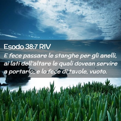 Picture 02 - Esodo 38:7 RIV - E fece passare le stanghe per gli anelli, ai lati - Bible Verse Picture