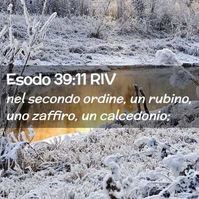 Picture 02 - Esodo 39:11 RIV - nel secondo ordine, un rubino, uno zaffiro, un - Bible Verse Picture