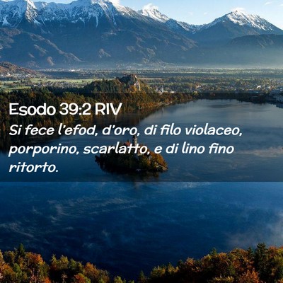 Picture 02 - Esodo 39:2 RIV - Si fece l’efod, d’oro, di filo violaceo, - Bible Verse Picture